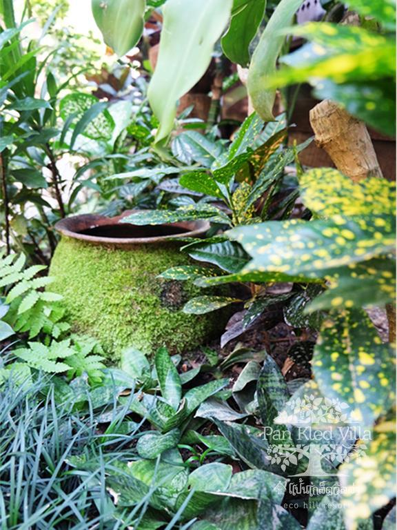 Pan Kled Villa Eco Hill Resort - Sha Extra Plus Chiang Rai Zewnętrze zdjęcie